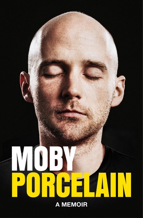 Cover image for book Porcelain