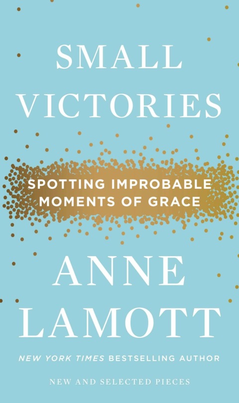 Cover image for book Small Victories