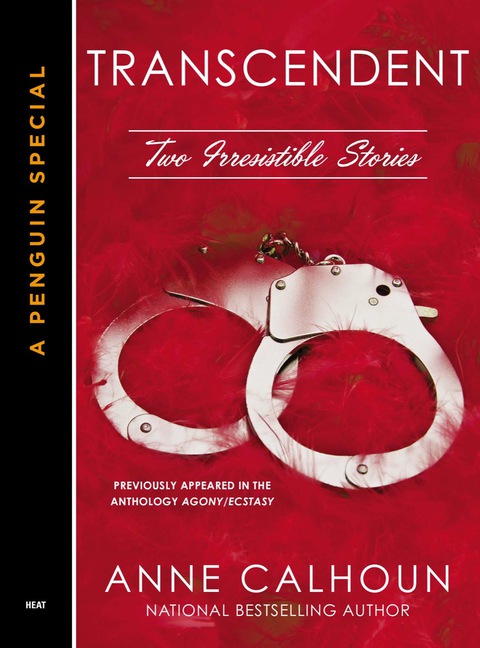 Cover image for book Transcendent