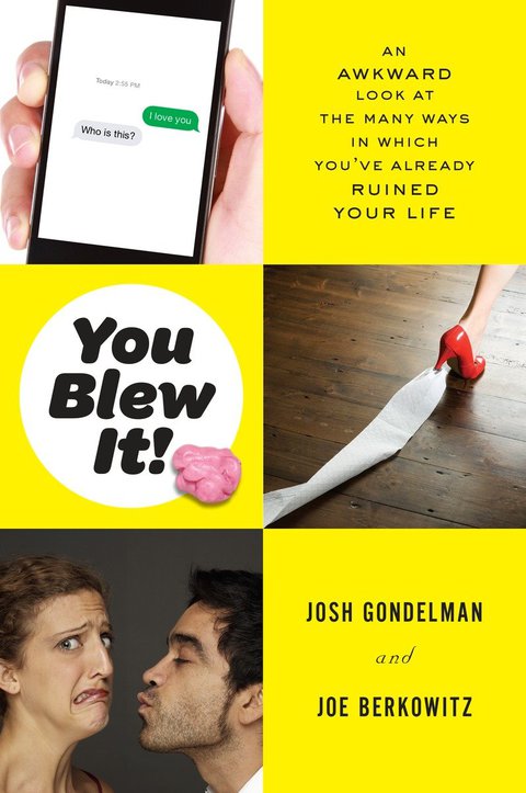 Cover image for book You Blew It!