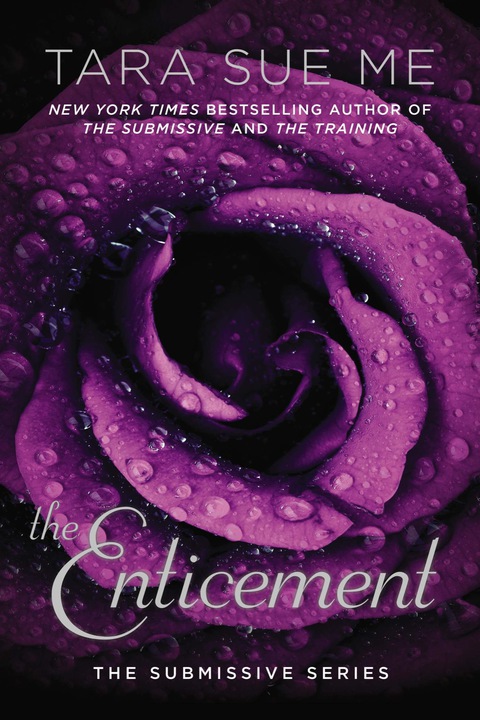 Cover image for book The Enticement