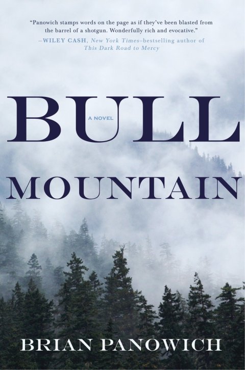 Cover image for book Bull Mountain