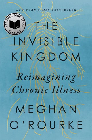 The Invisible Kingdom