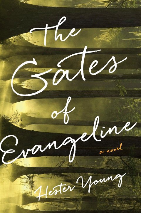 Cover image for book The Gates of Evangeline