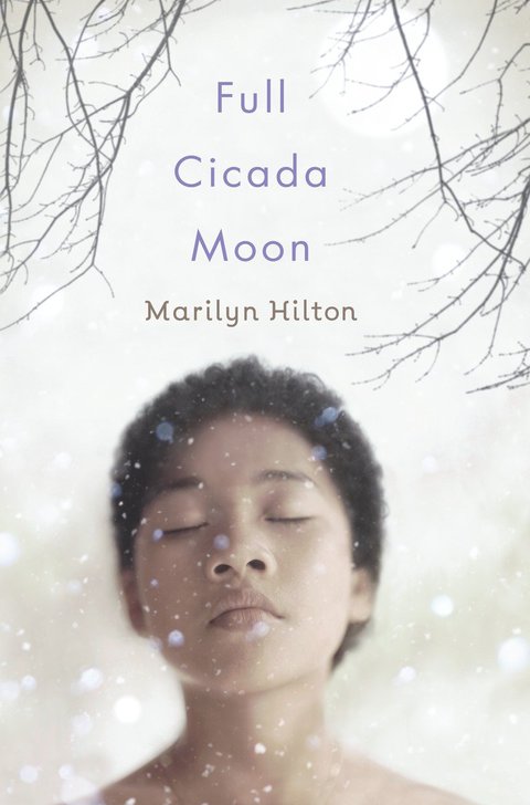 Cover image for book Full Cicada Moon