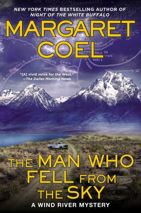 Cover image for book The Man Who Fell from the Sky