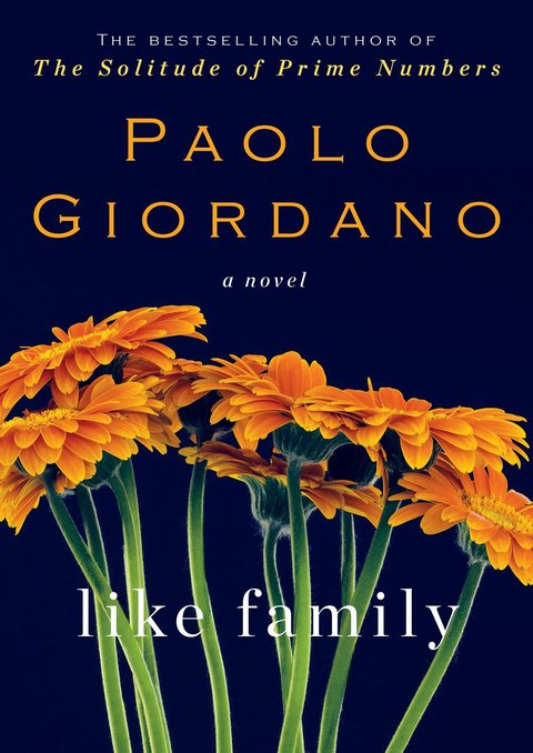 Cover image for book Like Family