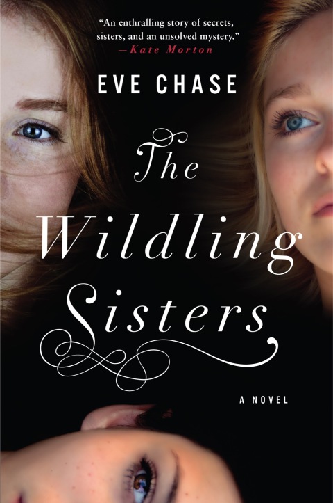 Cover image for book The Wildling Sisters