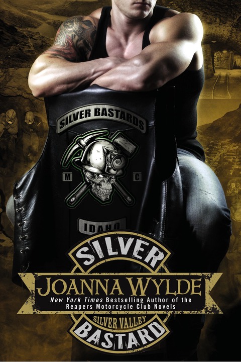 Cover image for book Silver Bastard