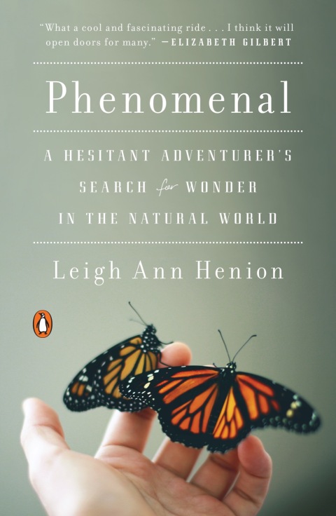 Cover image for book Phenomenal