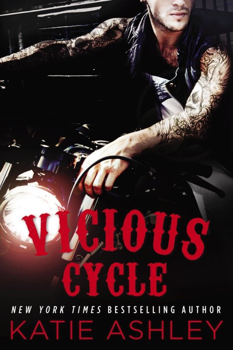 Cover image for book Vicious Cycle