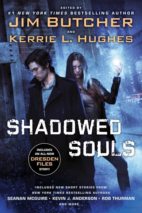 Cover image for book Shadowed Souls