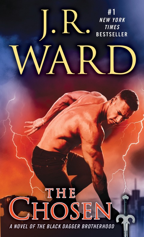 Cover image for book The Chosen