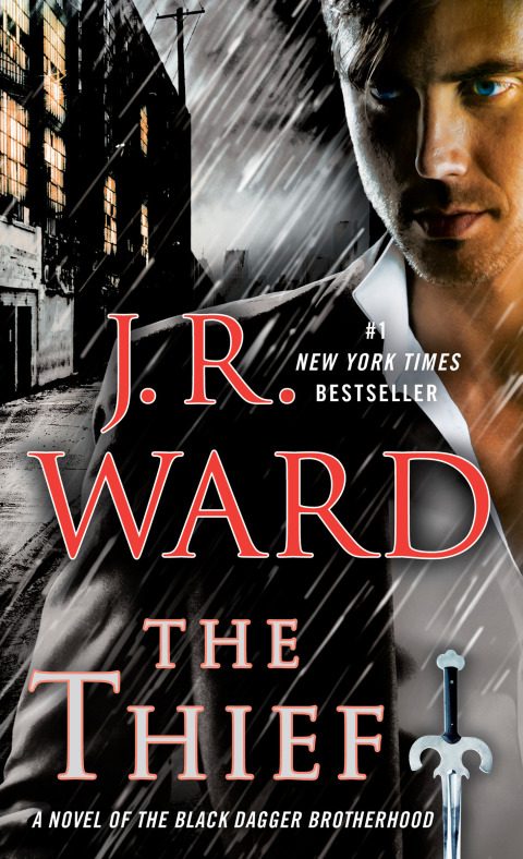 Cover image for book The Thief