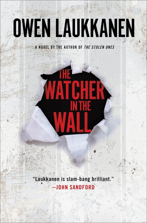 Cover image for book The Watcher in the Wall