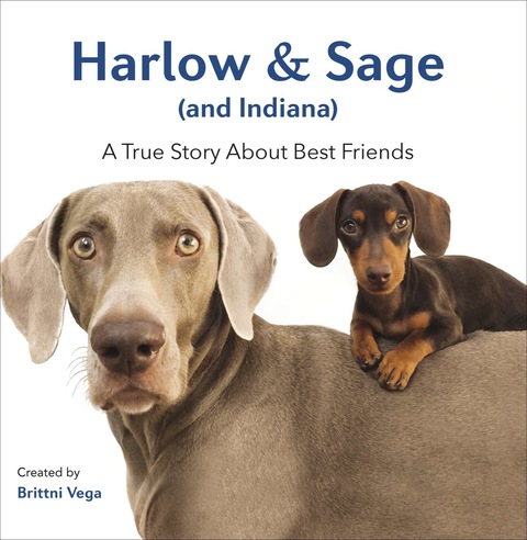 Cover image for book Harlow & Sage (and Indiana)