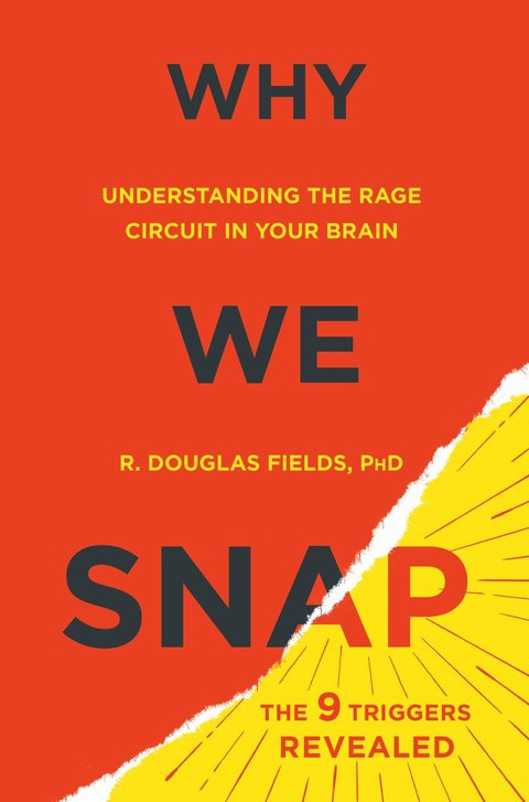 Cover image for book Why We Snap