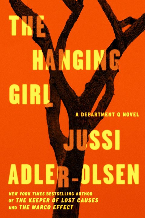Cover image for book The Hanging Girl