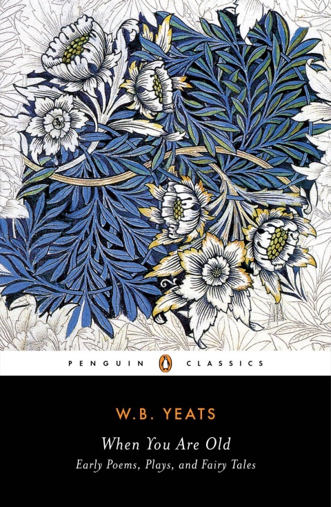 Cover image for book When You Are Old