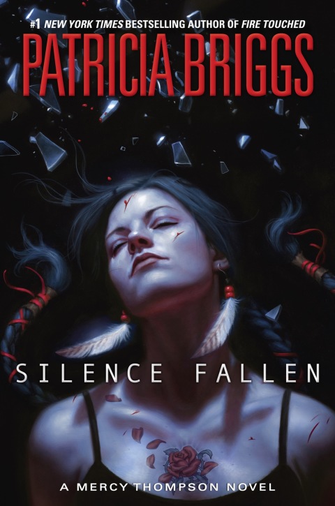 Cover image for book Silence Fallen