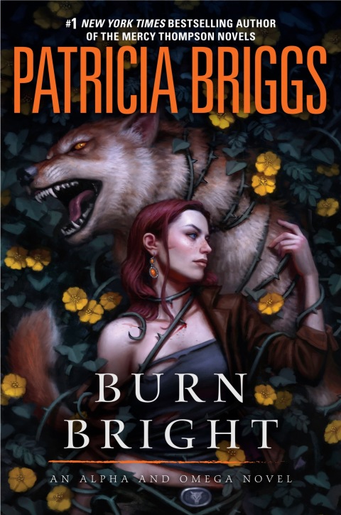 Cover image for book Burn Bright