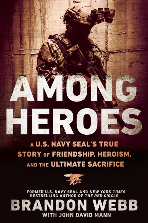 Cover image for book Among Heroes