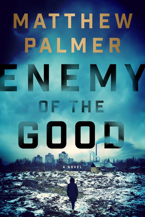 Cover image for book Enemy of the Good