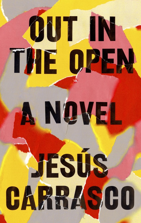 Cover image for book Out in the Open