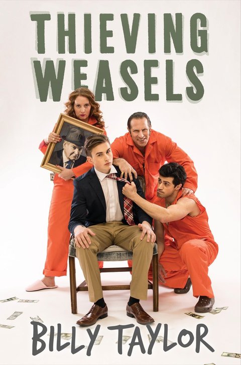 Cover image for book Thieving Weasels