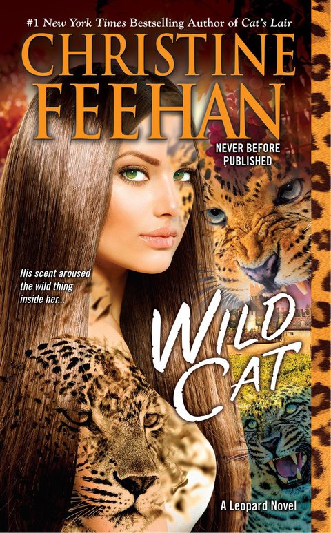 Cover image for book Wild Cat