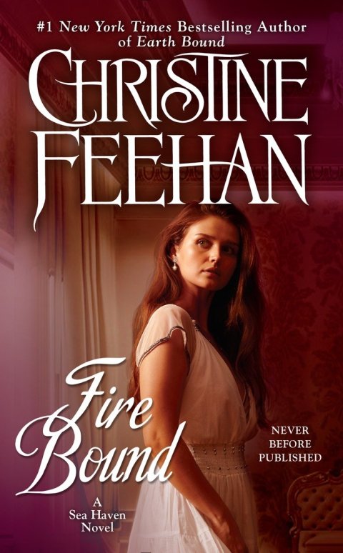 Cover image for book Fire Bound