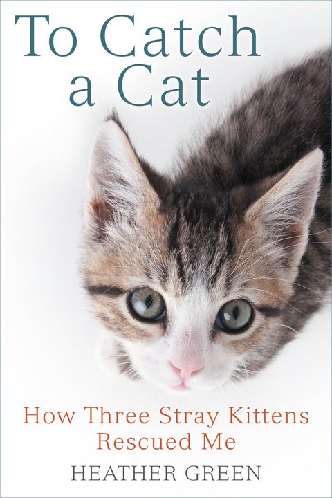 Cover image for book To Catch a Cat