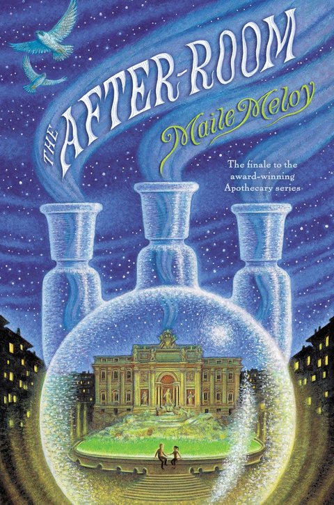 Cover image for book The After-Room