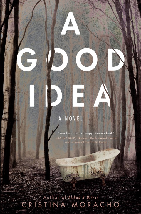Cover image for book A Good Idea