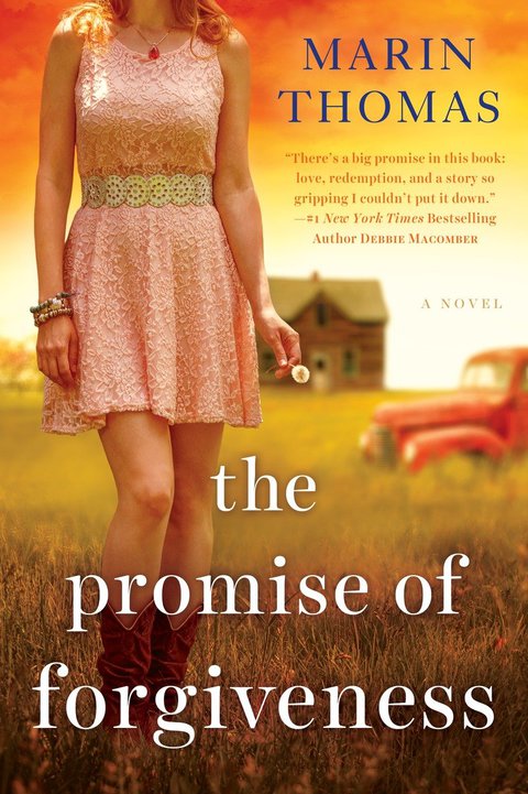 Cover image for book The Promise of Forgiveness