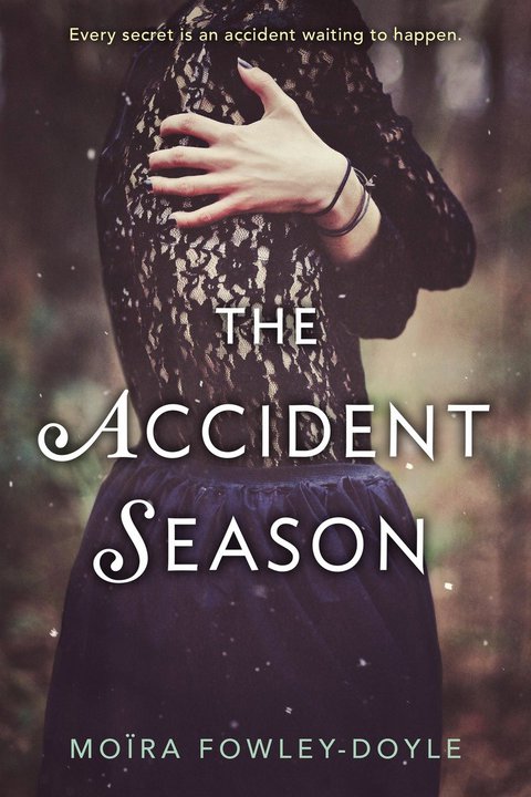 Cover image for book The Accident Season