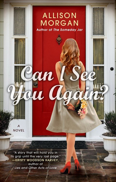 Cover image for book Can I See You Again?