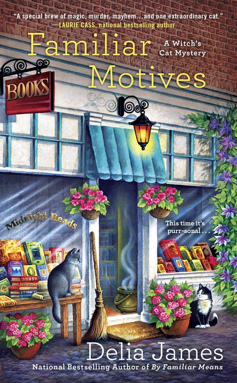 Cover image for book Familiar Motives