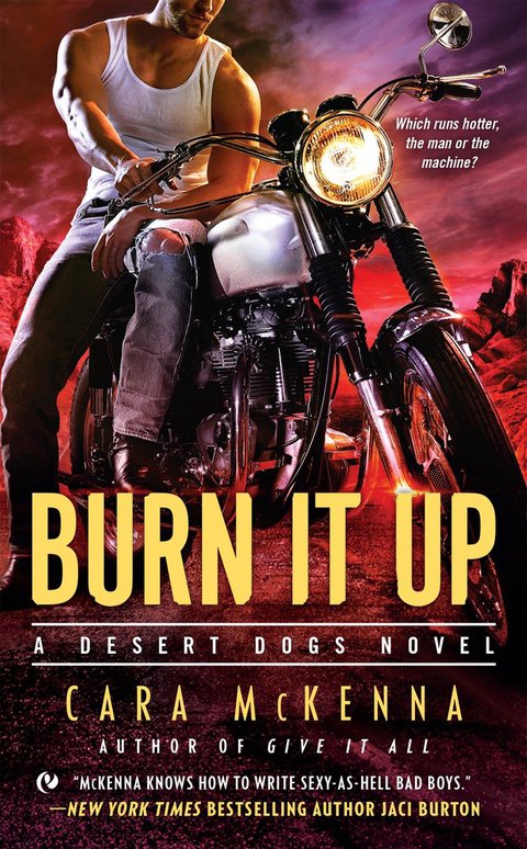 Cover image for book Burn It Up