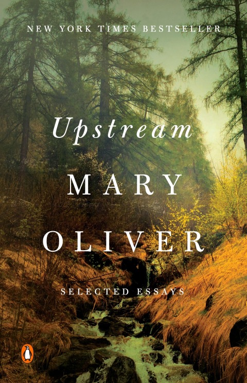 Cover image for book Upstream