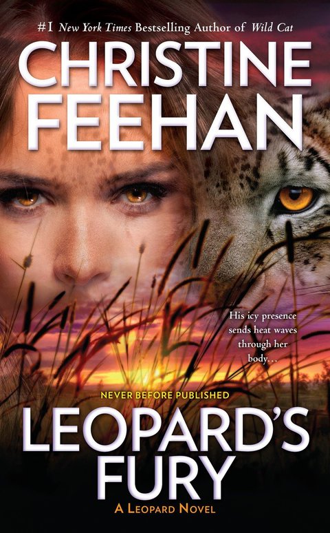 Cover image for book Leopard's Fury