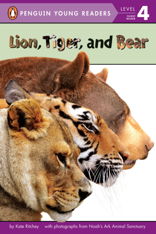 Lion, Tiger, and Bear