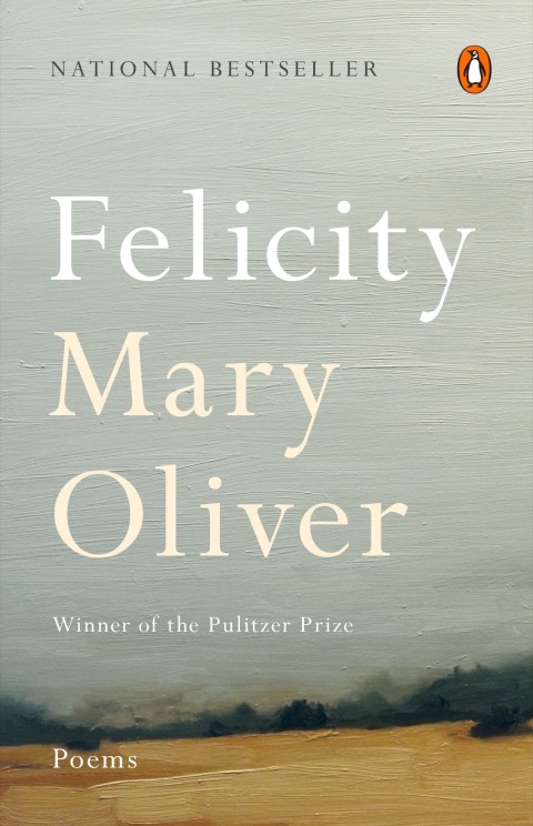 Cover image for book Felicity