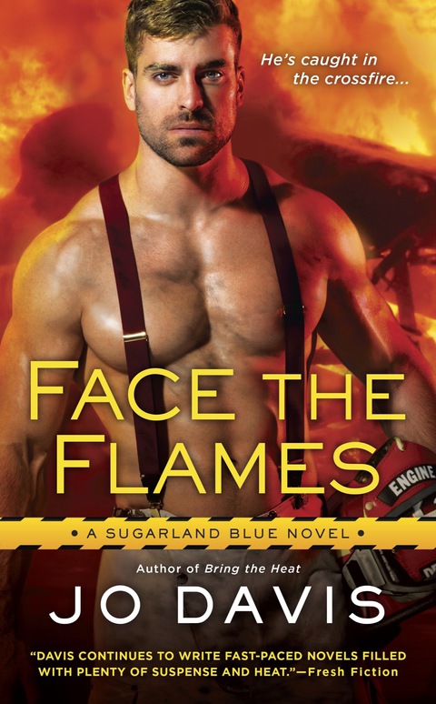 Cover image for book Face the Flames