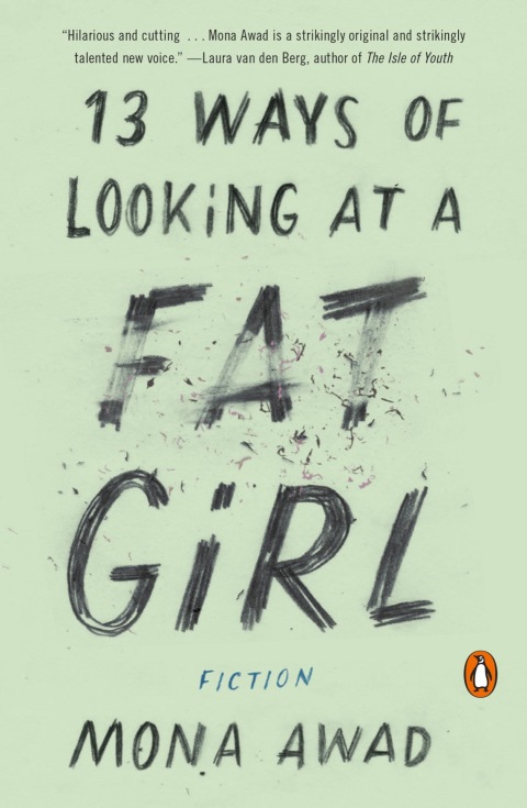 Cover image for book 13 Ways of Looking at a Fat Girl