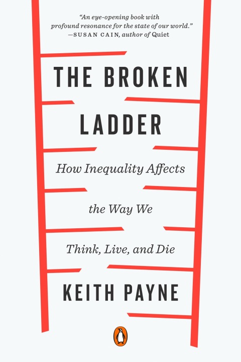 Cover image for book The Broken Ladder