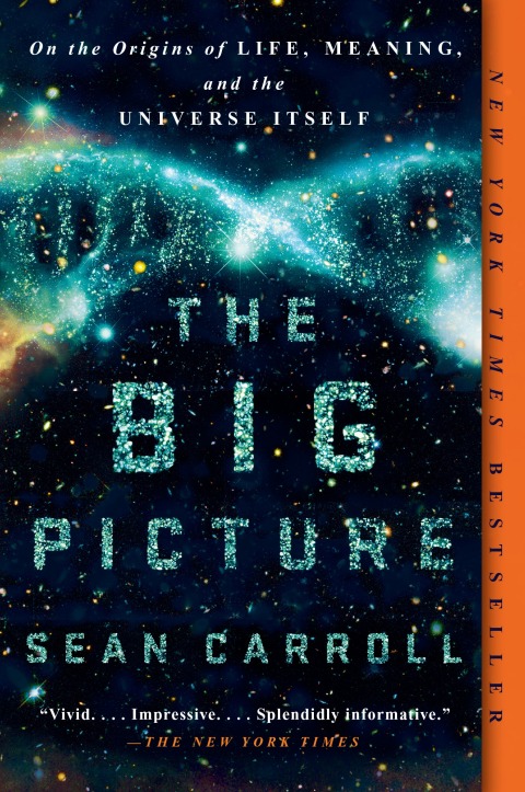 Cover image for book The Big Picture