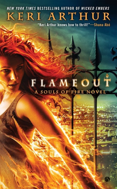 Cover image for book Flameout