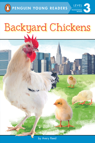Backyard Chickens