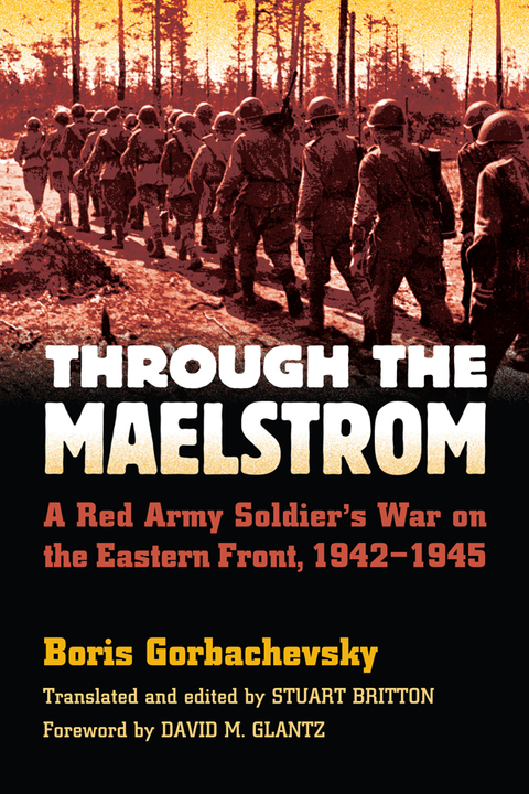 Cover image for book Through the Maelstrom